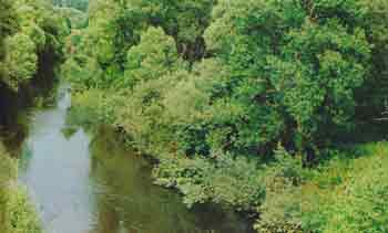 Photo of Клевое место — река Серёна